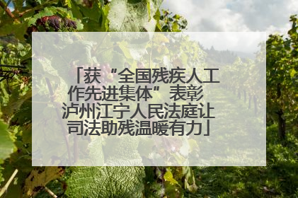 获“全国残疾人工作先进集体”表彰 泸州江宁人民法庭让司法助残温暖有力
