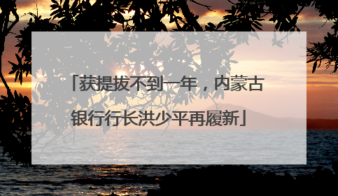 获提拔不到一年，内蒙古银行行长洪少平再履新