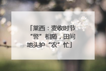 莱西：麦收时节“警”相随，田间地头护“农”忙