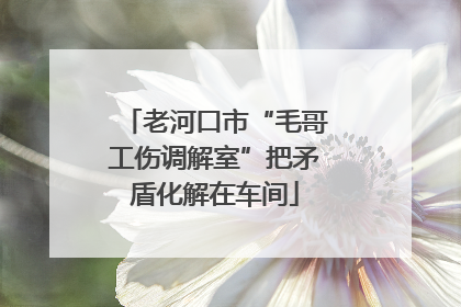 老河口市“毛哥工伤调解室”把矛盾化解在车间
