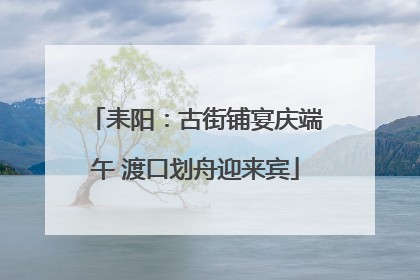 耒阳：古街铺宴庆端午 渡口划舟迎来宾