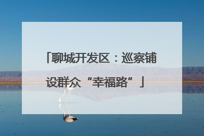 聊城开发区：巡察铺设群众“幸福路”