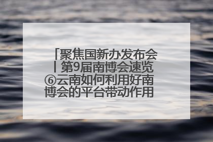 聚焦国新办发布会丨第9届南博会速览⑥云南如何利用好南博会的平台带动作用，深化与南亚国家的交流与合作？
