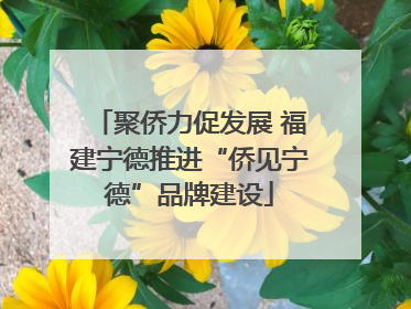 聚侨力促发展 福建宁德推进“侨见宁德”品牌建设