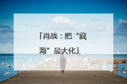 肖战：把“藏海”最大化