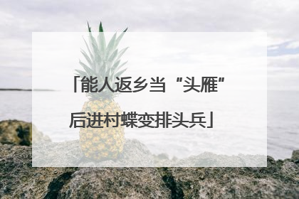 能人返乡当“头雁” 后进村蝶变排头兵