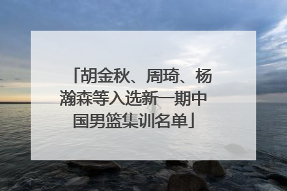 胡金秋、周琦、杨瀚森等入选新一期中国男篮集训名单