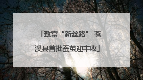 致富“新丝路” 苍溪县首批蚕茧迎丰收