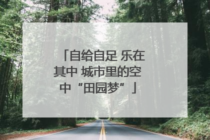 自给自足 乐在其中 城市里的空中“田园梦”
