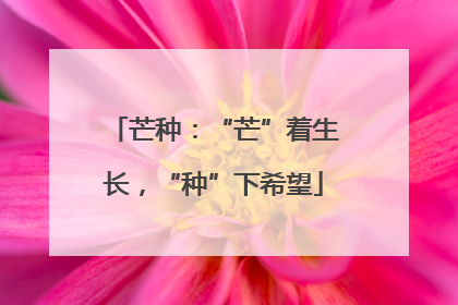 芒种：“芒”着生长，“种”下希望