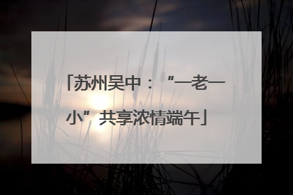 苏州吴中：“一老一小”共享浓情端午