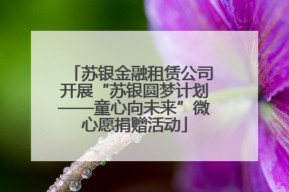 苏银金融租赁公司开展“苏银圆梦计划——童心向未来”微心愿捐赠活动