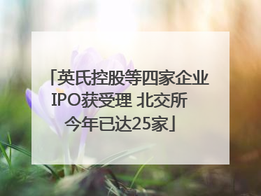 英氏控股等四家企业IPO获受理 北交所今年已达25家
