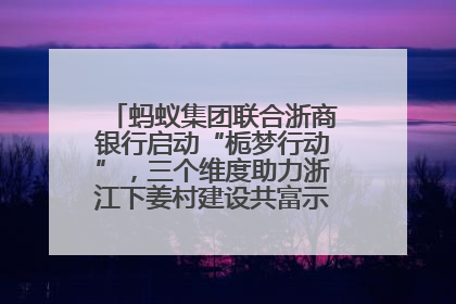 蚂蚁集团联合浙商银行启动“栀梦行动”，三个维度助力浙江下姜村建设共富示范区示范点