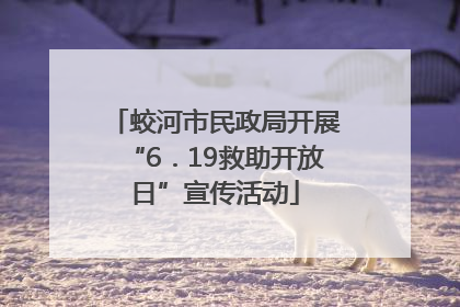 蛟河市民政局开展“6．19救助开放日”宣传活动