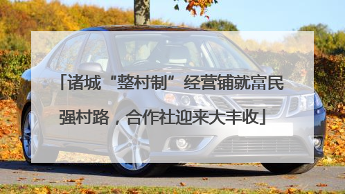 诸城“整村制”经营铺就富民强村路，合作社迎来大丰收