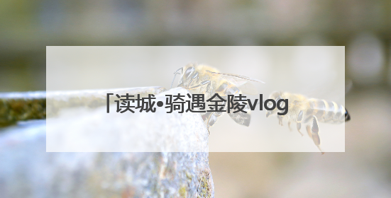 读城•骑遇金陵vlog｜“Citybike”漫游记 邂逅古都新韵