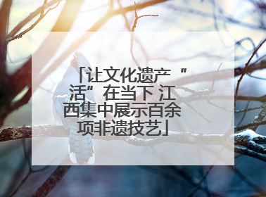 让文化遗产“活”在当下 江西集中展示百余项非遗技艺