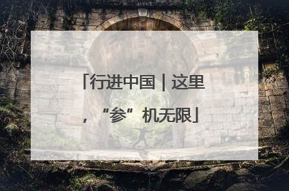 行进中国｜这里，“参”机无限