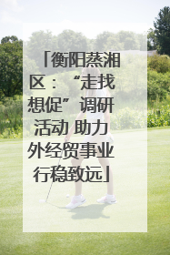衡阳蒸湘区：“走找想促”调研活动 助力外经贸事业行稳致远
