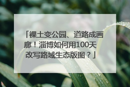 裸土变公园、道路成画廊！淄博如何用100天改写路域生态版图？