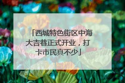 西城特色街区中海大吉巷正式开业，打卡市民真不少