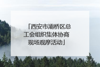 西安市灞桥区总工会组织集体协商现场观摩活动