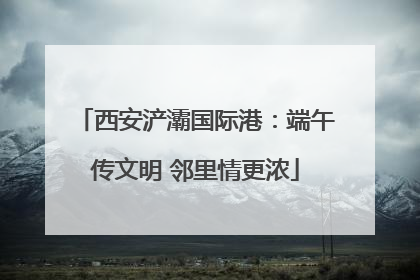 西安浐灞国际港：端午传文明 邻里情更浓