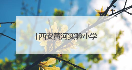 西安黄河实验小学举办STEM主题“科创活动日”
