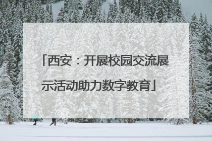 西安：开展校园交流展示活动助力数字教育