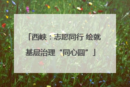 西峡：志愿同行 绘就基层治理“同心圆”