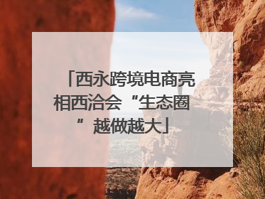 西永跨境电商亮相西洽会“生态圈”越做越大