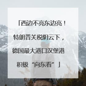 西边不亮东边亮！特朗普关税阴云下，德国最大港口汉堡港积极“向东看”