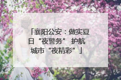 襄阳公安：做实夏日“夜警务” 护航城市“夜精彩”