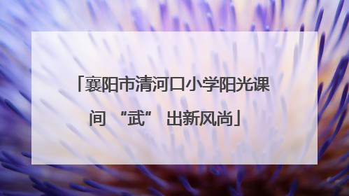 襄阳市清河口小学阳光课间 “武” 出新风尚