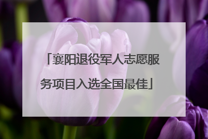 襄阳退役军人志愿服务项目入选全国最佳