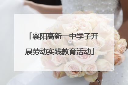 襄阳高新一中学子开展劳动实践教育活动