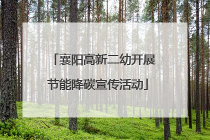 襄阳高新二幼开展节能降碳宣传活动
