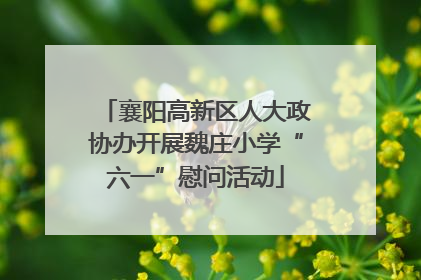 襄阳高新区人大政协办开展魏庄小学“六一”慰问活动