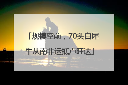 规模空前，70头白犀牛从南非运抵卢旺达
