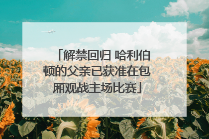 解禁回归 哈利伯顿的父亲已获准在包厢观战主场比赛