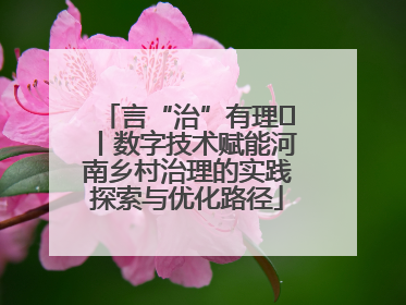 言“治”有理⑪丨数字技术赋能河南乡村治理的实践探索与优化路径