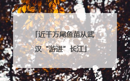 近千万尾鱼苗从武汉“游进”长江