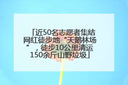 近50名志愿者集结网红徒步地“天鹅林场”，徒步10公里清运150余斤山野垃圾