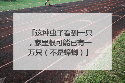 这种虫子看到一只，家里很可能已有一万只（不是蟑螂）