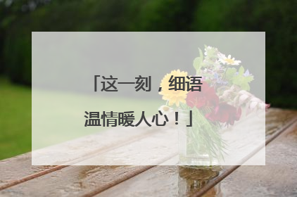 这一刻，细语温情暖人心！