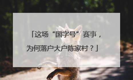 这场“国字号”赛事，为何落户大户陈家村？