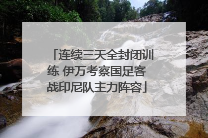 连续三天全封闭训练 伊万考察国足客战印尼队主力阵容