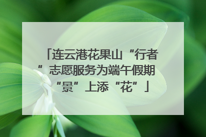 连云港花果山“行者”志愿服务为端午假期“景”上添“花”