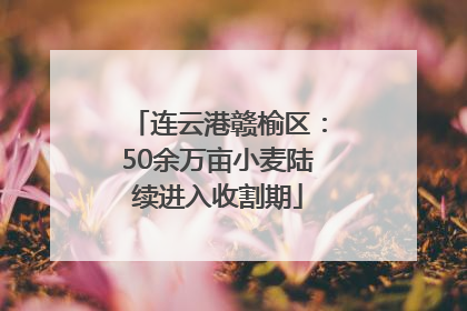 连云港赣榆区：50余万亩小麦陆续进入收割期